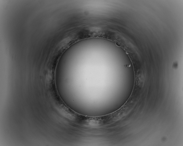 X0000102020756200807251331