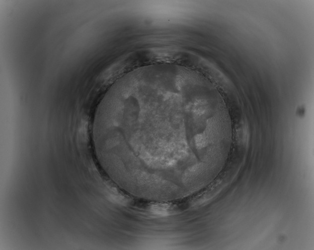X0000102020757200807251331