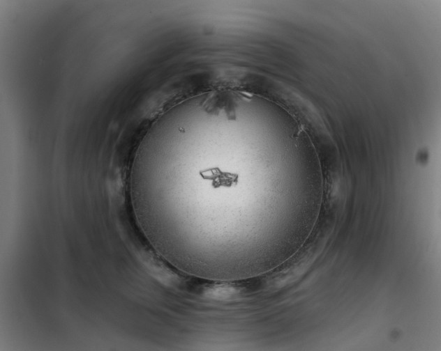 X0000102020759200807251331