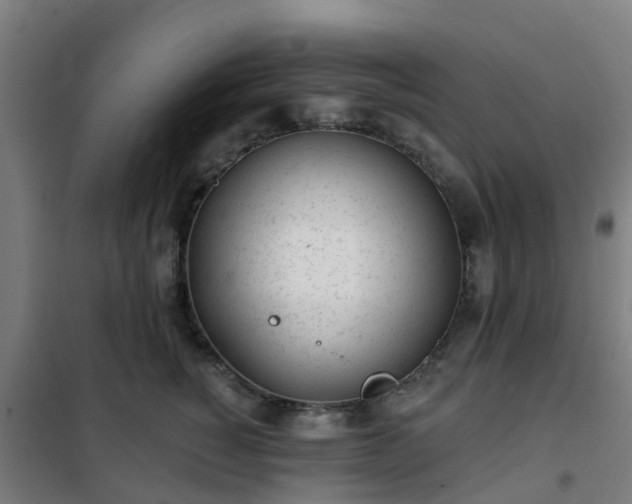 X0000102020760200807251332