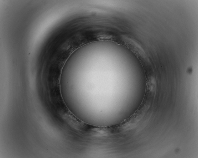 X0000102020763200807251332