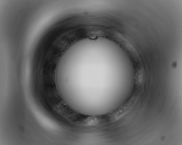 X0000102020764200807251332