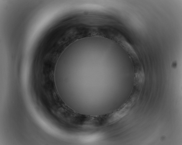 X0000102020765200807251332