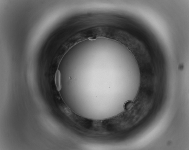 X0000102020766200807251332