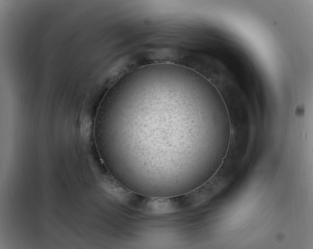 X0000102020767200807251332
