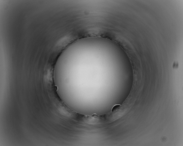X0000102020768200807251332