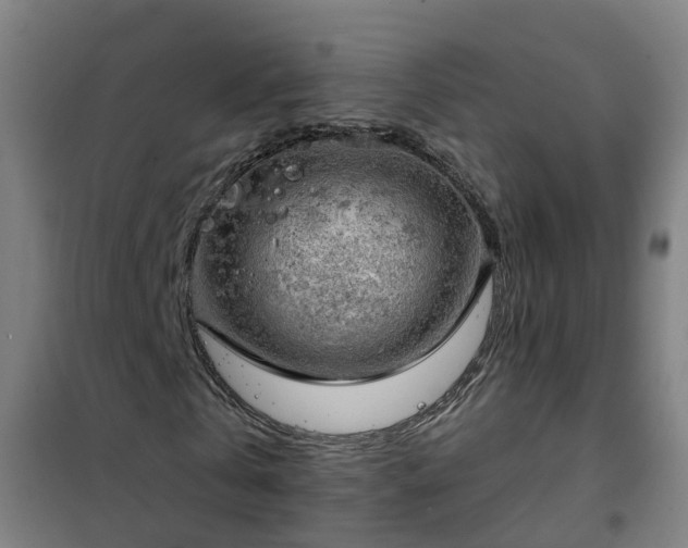 X0000102020769200807251331