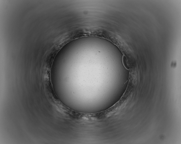 X0000102020770200807251331