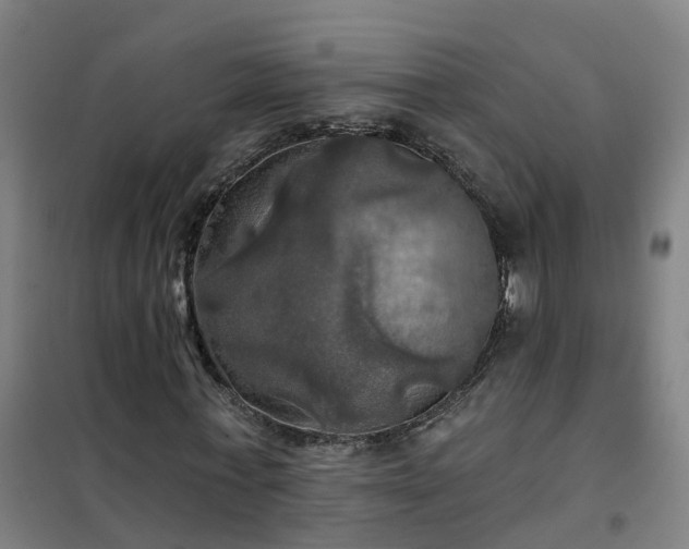 X0000102020771200807251331