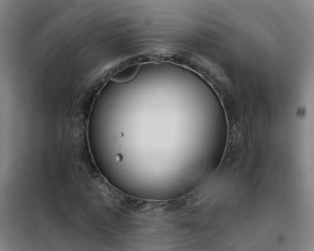 X0000102020773200807251331