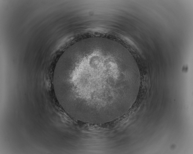 X0000102020774200807251331