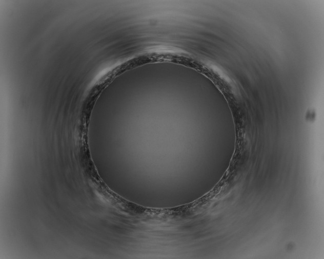 X0000102020775200807251331