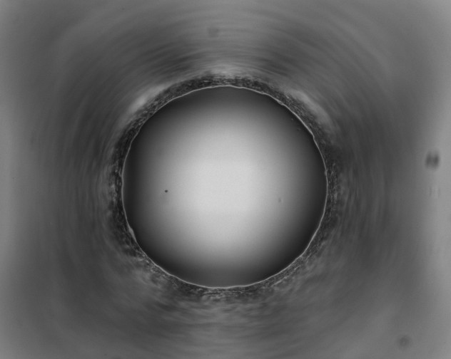 X0000102020776200807251331