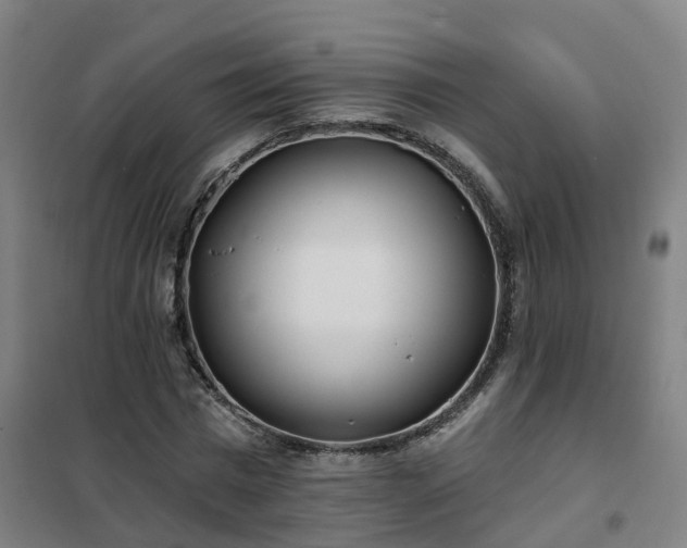 X0000102020777200807251331