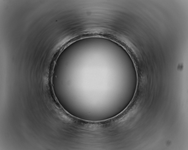 X0000102020778200807251331