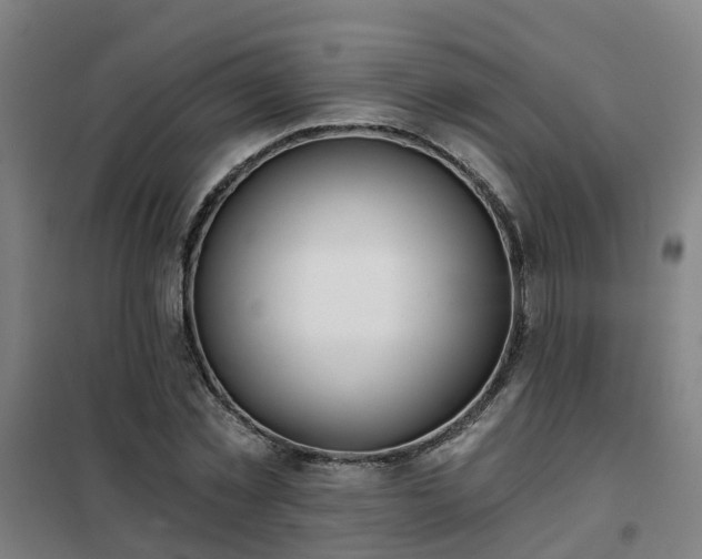 X0000102020781200807251331