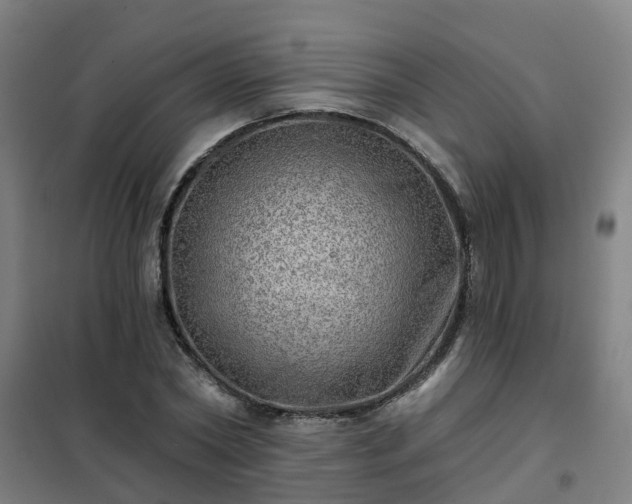 X0000102020782200807251331