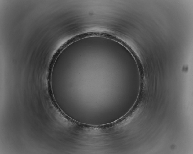 X0000102020783200807251331