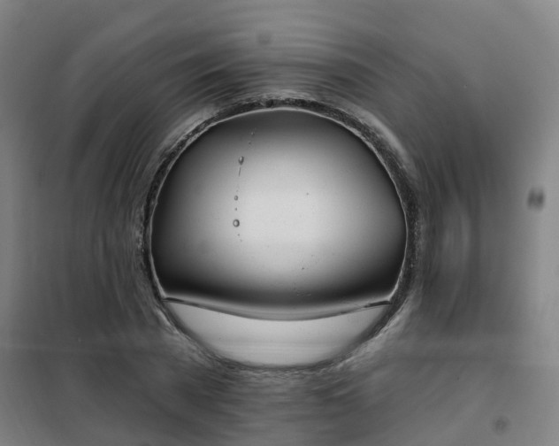 X0000102020785200807251331
