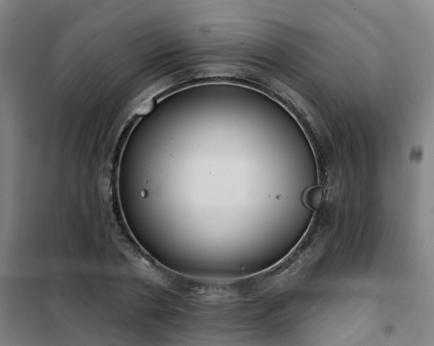 X0000102020786200807251331