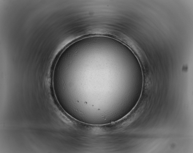 X0000102020787200807251331