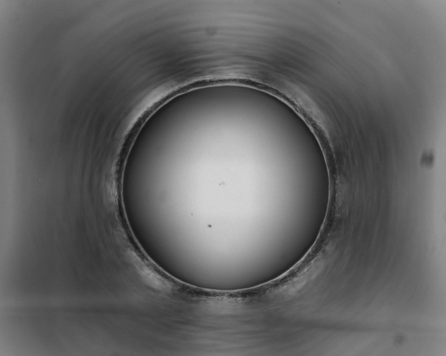 X0000102020789200807251331