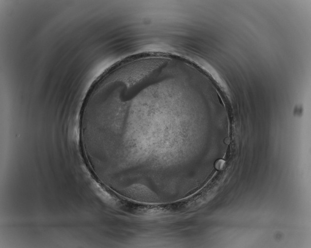 X0000102020791200807251330