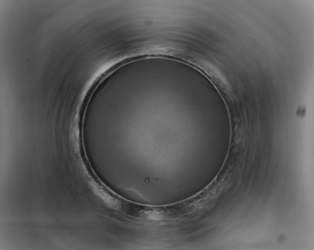 X0000102020792200807251330