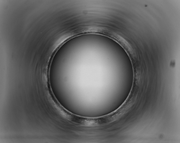 X0000102020794200807251330