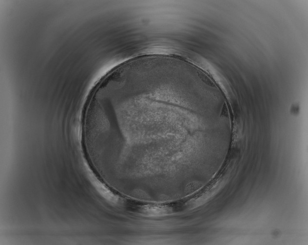 X0000102020795200807251330