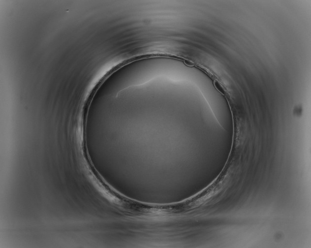 X0000102020796200807251330