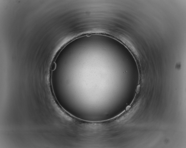 X0000102020797200807251330