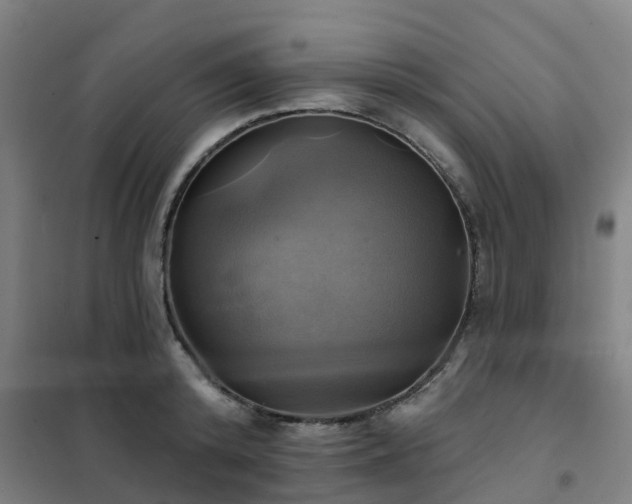 X0000102020800200807251330