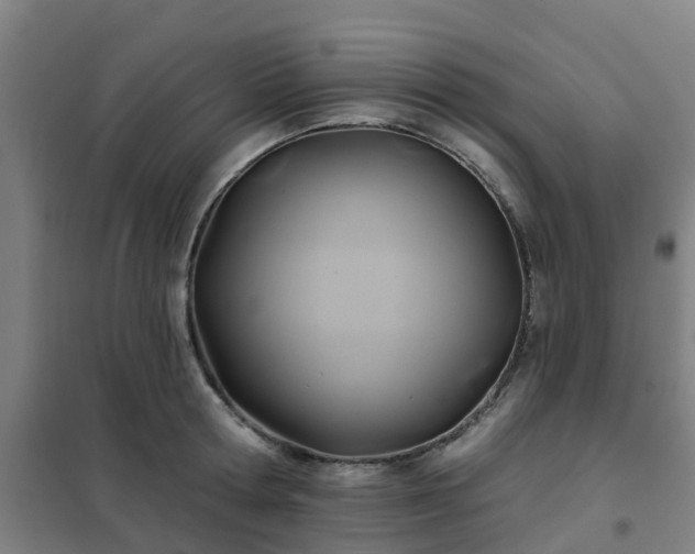 X0000102020802200807251330