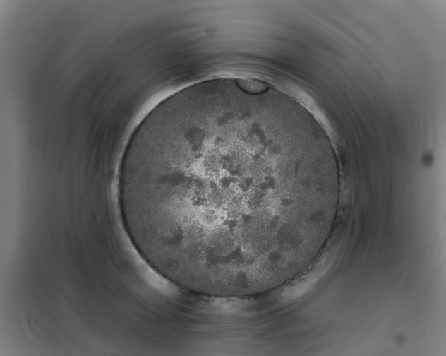 X0000102020803200807251330