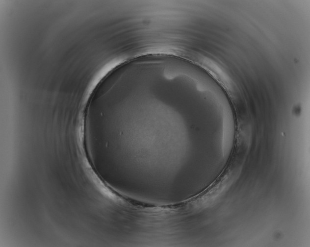X0000102020804200807251330
