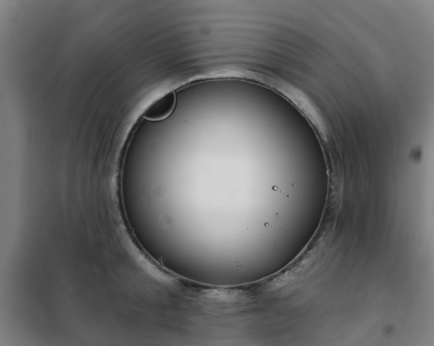 X0000102020805200807251330