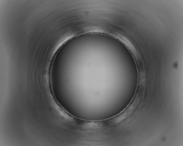 X0000102020806200807251330