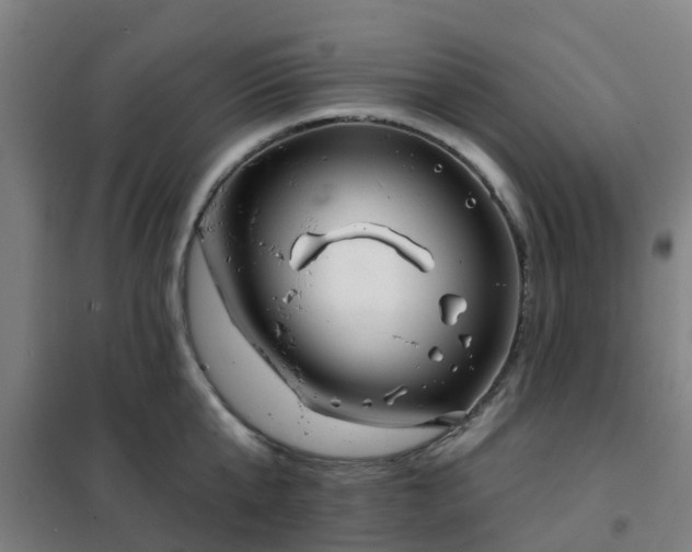 X0000102020807200807251330