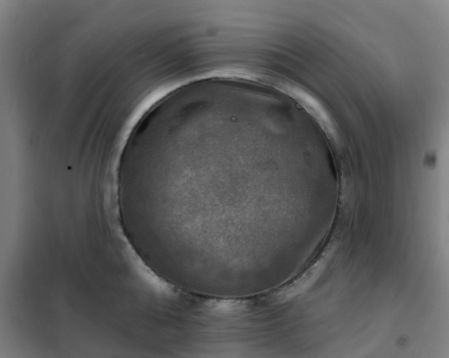 X0000102020808200807251330