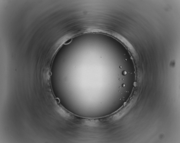 X0000102020809200807251330