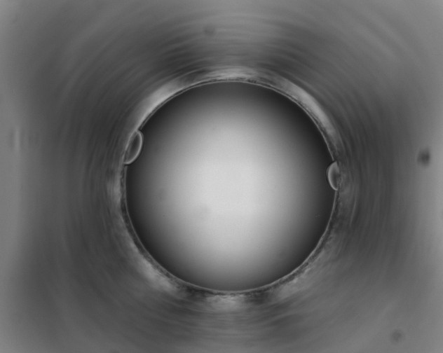 X0000102020810200807251330