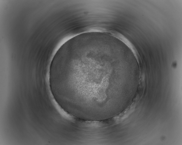 X0000102020811200807251330