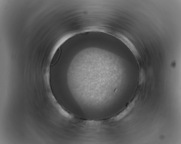X0000102020812200807251330