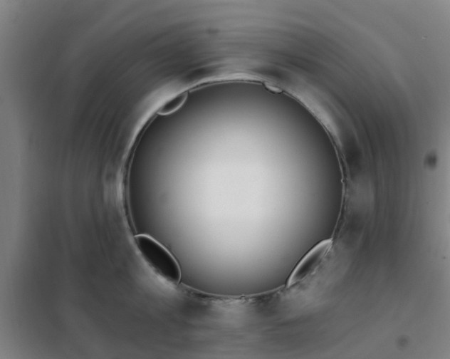 X0000102020813200807251330