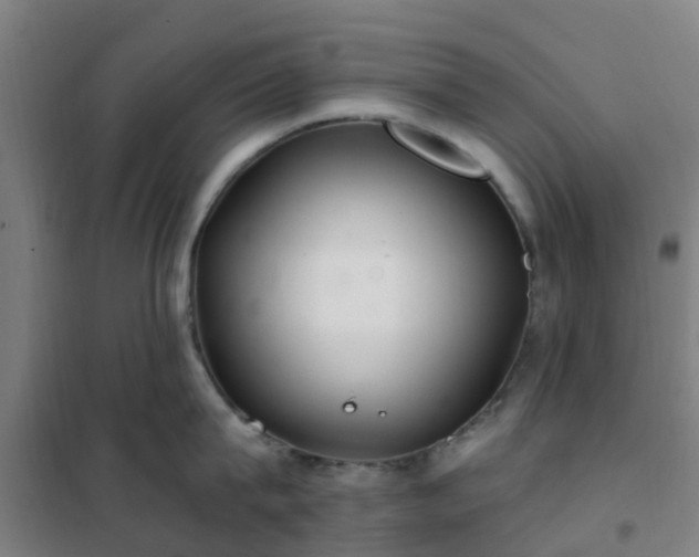 X0000102020815200807251330