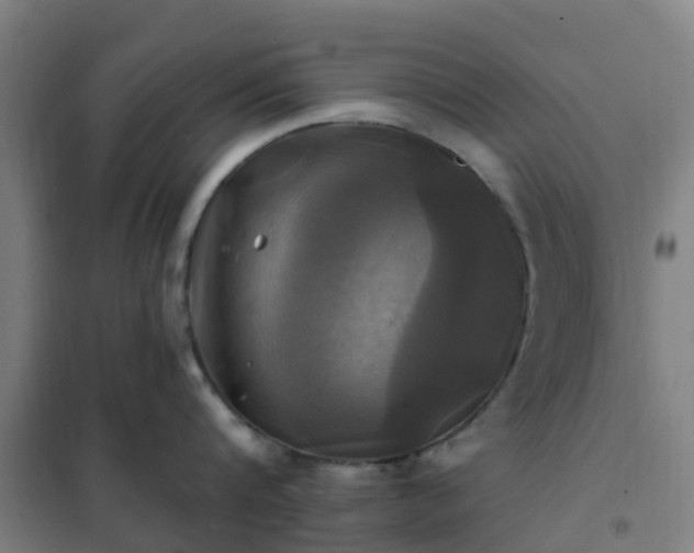 X0000102020816200807251330