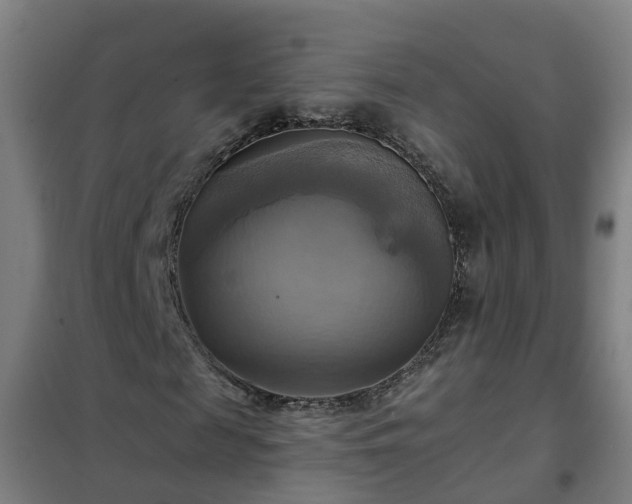 X0000102020817200807251329