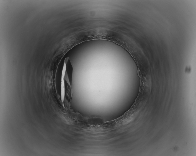 X0000102020818200807251329