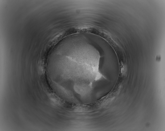 X0000102020819200807251329